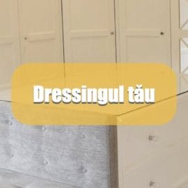 dressingul tău