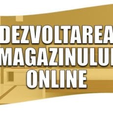 Dezvoltare magazin online: particularități pentru mobilier, decorațiuni, construcții, amenajări interioare
