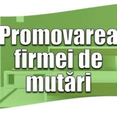 5 soluții: cum aduci clienți pentru o firmă de mutări și relocări