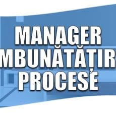 Un manager de îmbunătățire procese îți organizează foarte clar acțiunile