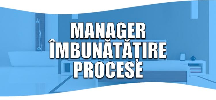 Un manager de îmbunătățire procese îți organizează foarte clar acțiunile manager îmbunătățire procese