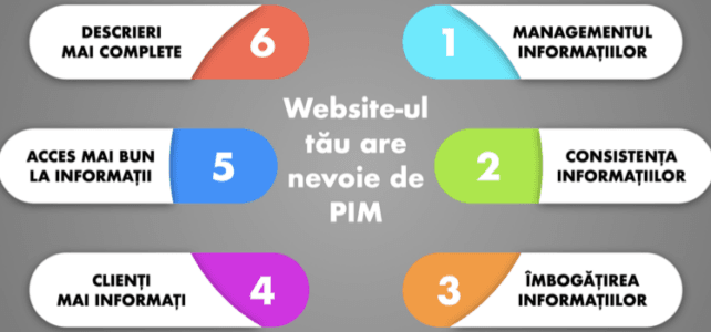 Sudiu de caz: propunere implementare PIM Sudiu de caz: propunere implementare PIM