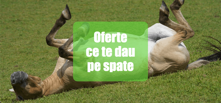 Oferte care vând: cum să construiești o ofertă irezistibilă