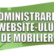 Administrarea websiteului de vânzări: cazul particular pentru mobilier, decorațiuni, construcții, amenajări interioare